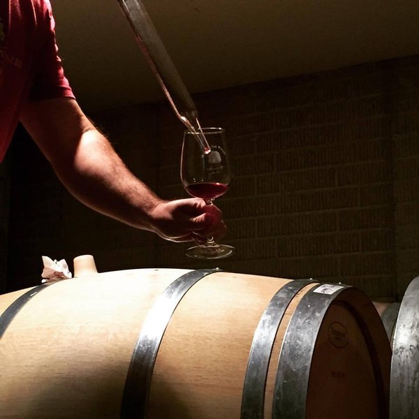 Barrel Tasting Event