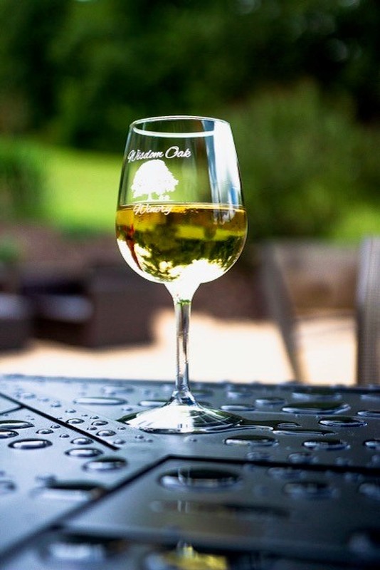 Sauvignon Blanc Vertical