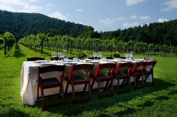 Harvest Picnic
