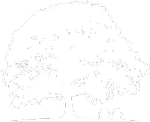 white oak tree silhouette with 2 adirondacks underneath
